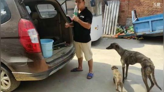 August丶21th发布了一个斗鱼视频2019-06-12