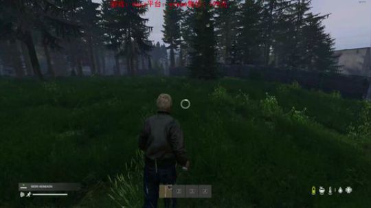 dayz dayz dayz 2019-06-11 17点场