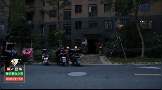 不再畏惧丶为愛低头发布了一个斗鱼视频2019-06-12