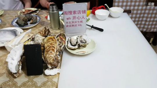西北老狼哥哥发布了一个斗鱼视频2019-06-13