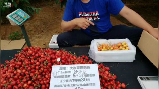 丿Good丶发布了一个斗鱼视频2019-06-13