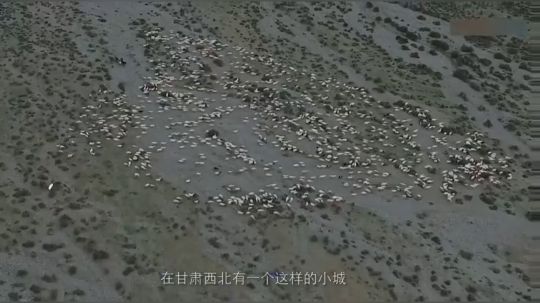 探秘阿克塞“石油小镇”