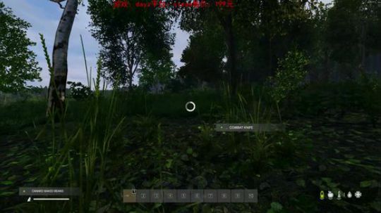 dayz dayz dayz 2019-06-13 19点场