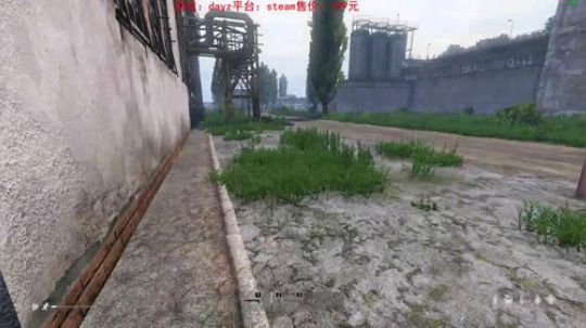 dayz dayz dayz 2019-06-15 13点场