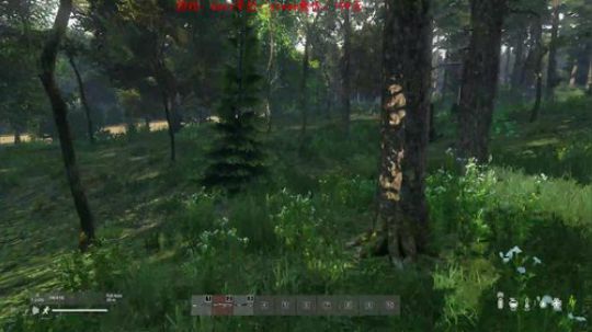 dayz dayz dayz 2019-06-14 20点场