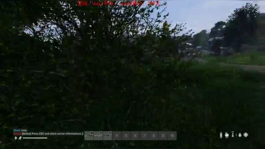 dayz dayz dayz 2019-06-14 18点场