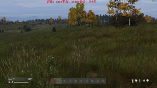 dayz dayz dayz 2019-06-15 17点场