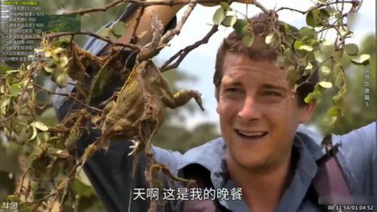 护法惊丶发布了一个斗鱼视频2019-06-16