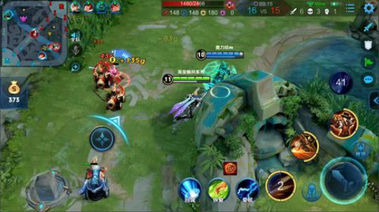 我在斗鱼看骚白直播王者荣耀