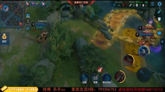 我在斗鱼看不可一世杀手直播王者荣耀