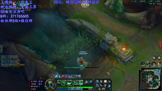 宗师局稻草人打野5杀视频