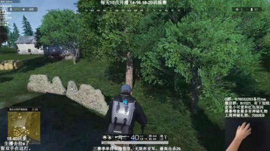 现双排榜一，KD20+别问。 2019-06-15 17点场