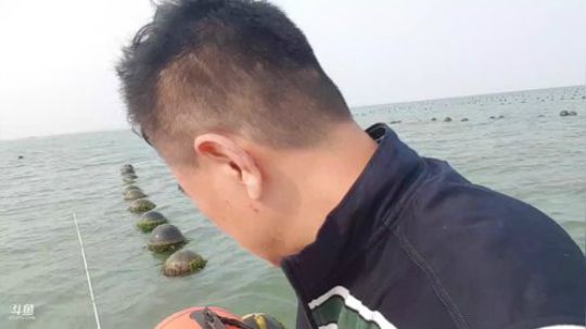 西北老狼哥哥发布了一个斗鱼视频2019-06-17