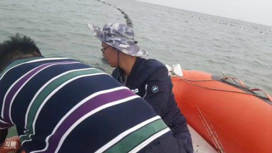 西北老狼哥哥发布了一个斗鱼视频2019-06-17