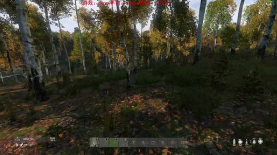 dayz dayz dayz 2019-06-16 16点场