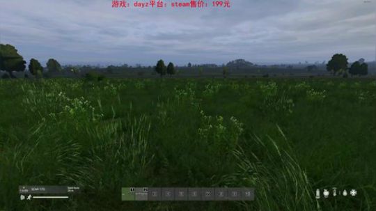 dayz dayz dayz 2019-06-16 18点场