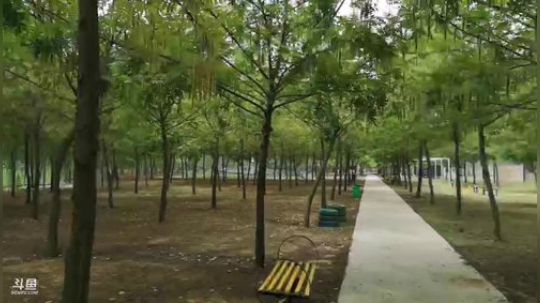 哆啦爱梦梦发布了一个斗鱼视频2019-06-17