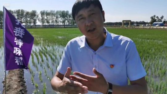 流量扶贫-内蒙古扎赉特旗 2019-06-18 14点场