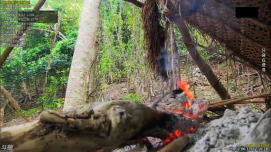 户外遛狗王飞哥发布了一个斗鱼视频2019-06-17