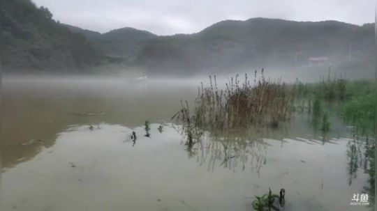 涨大水捕翘嘴？？？ 2019-06-18 19点场