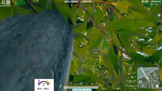 馒头:唠嗑主播 在线教学 2019-06-17 19点场