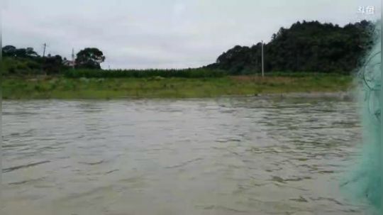 涨大水捕翘嘴？？？ 2019-06-18 19点场