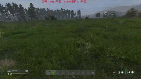 dayz dayz dayz 2019-06-16 22点场