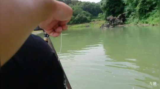 欢迎深山大咖来魅力做客。 2019-06-19 09点场