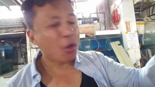 好家伙大叔太狠啦生吃大章鱼