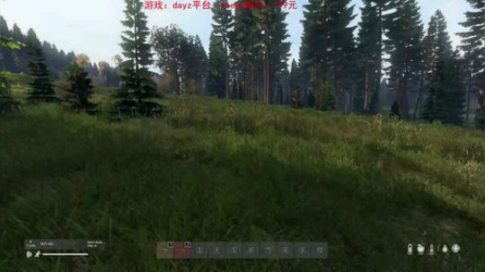 dayz dayz dayz 2019-06-18 19点场