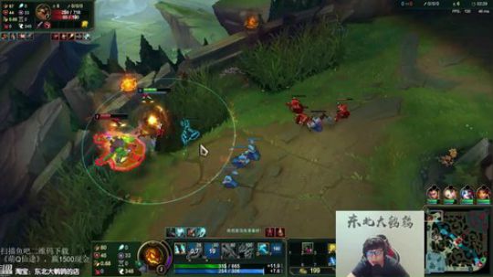 东北大鹌鹑直播间96291_英雄联盟LOL直播_斗鱼-每个人