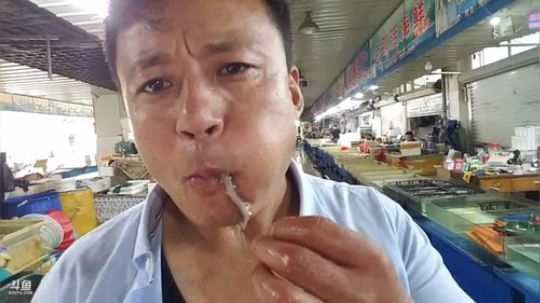 好猛生吃章鱼