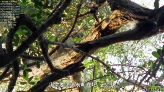 护法惊丶发布了一个斗鱼视频2019-06-20