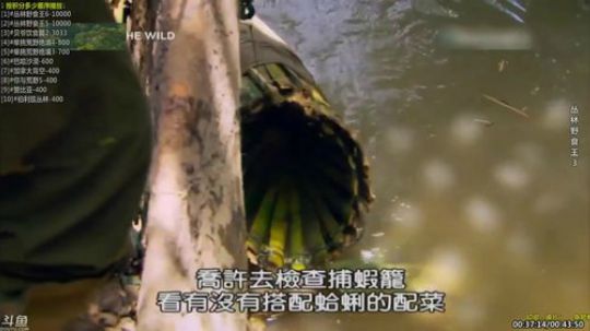 户外遛狗王飞哥发布了一个斗鱼视频2019-06-20