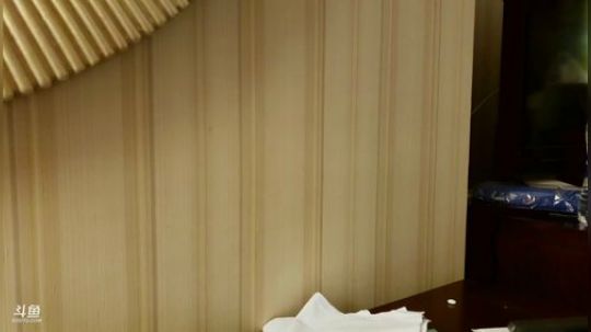 我在斗鱼看火力堂主直播户外