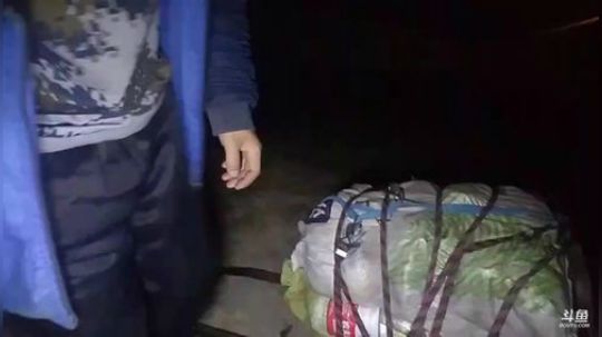 狗强腿鱼