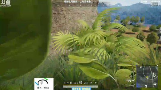 馒头:唠嗑主播 在线教学 2019-06-20 19点场