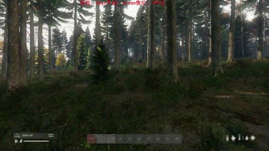 dayz dayz dayz 2019-06-20 22点场