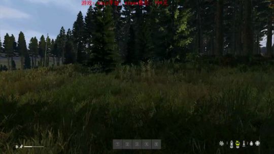 dayz dayz dayz 2019-06-19 20点场