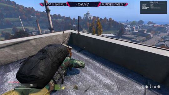 DAYZ技术主播 2019-06-21 13点场
