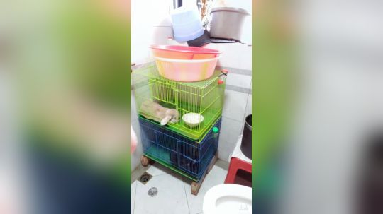 登月团丶离去发布了一个斗鱼视频2019-06-22