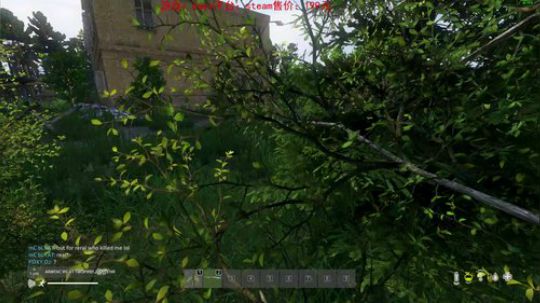 dayz dayz dayz 2019-06-21 16点场