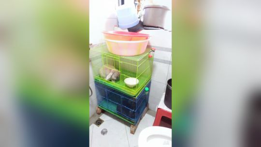 登月团丶离去发布了一个斗鱼视频2019-06-22