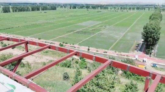 流量帮扶-乌兰浩特市。 2019-06-22 12点场