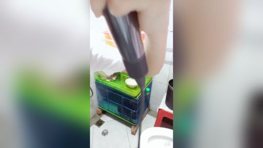 登月团丶离去发布了一个斗鱼视频2019-06-22