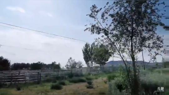 流量帮扶-乌兰浩特市。 2019-06-22 15点场