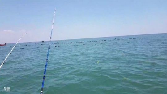 西北老狼哥哥发布了一个斗鱼视频2019-06-23