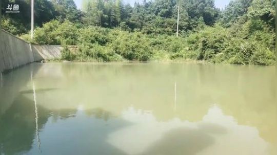 美食：小龙虾翘嘴跑步鸡。 2019-06-23 15点场