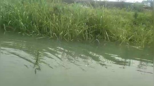 天气终于晴了。 2019-06-23 10点场