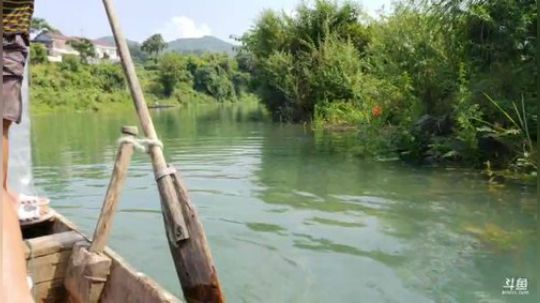 水库激情地笼桂鱼钓。 2019-06-24 14点场